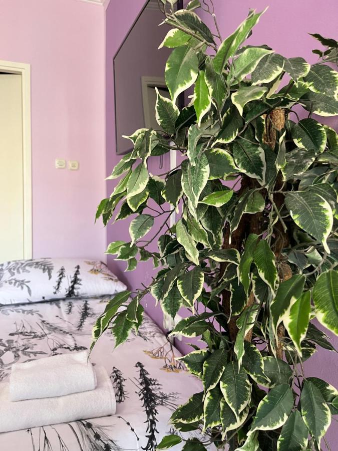Apartman Lora Leilighet Rijeka Eksteriør bilde